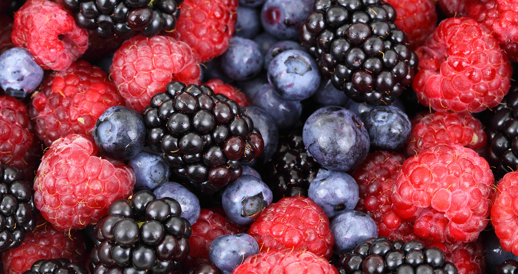 Love Your Berries? Then Summer Time is the Right Time For You