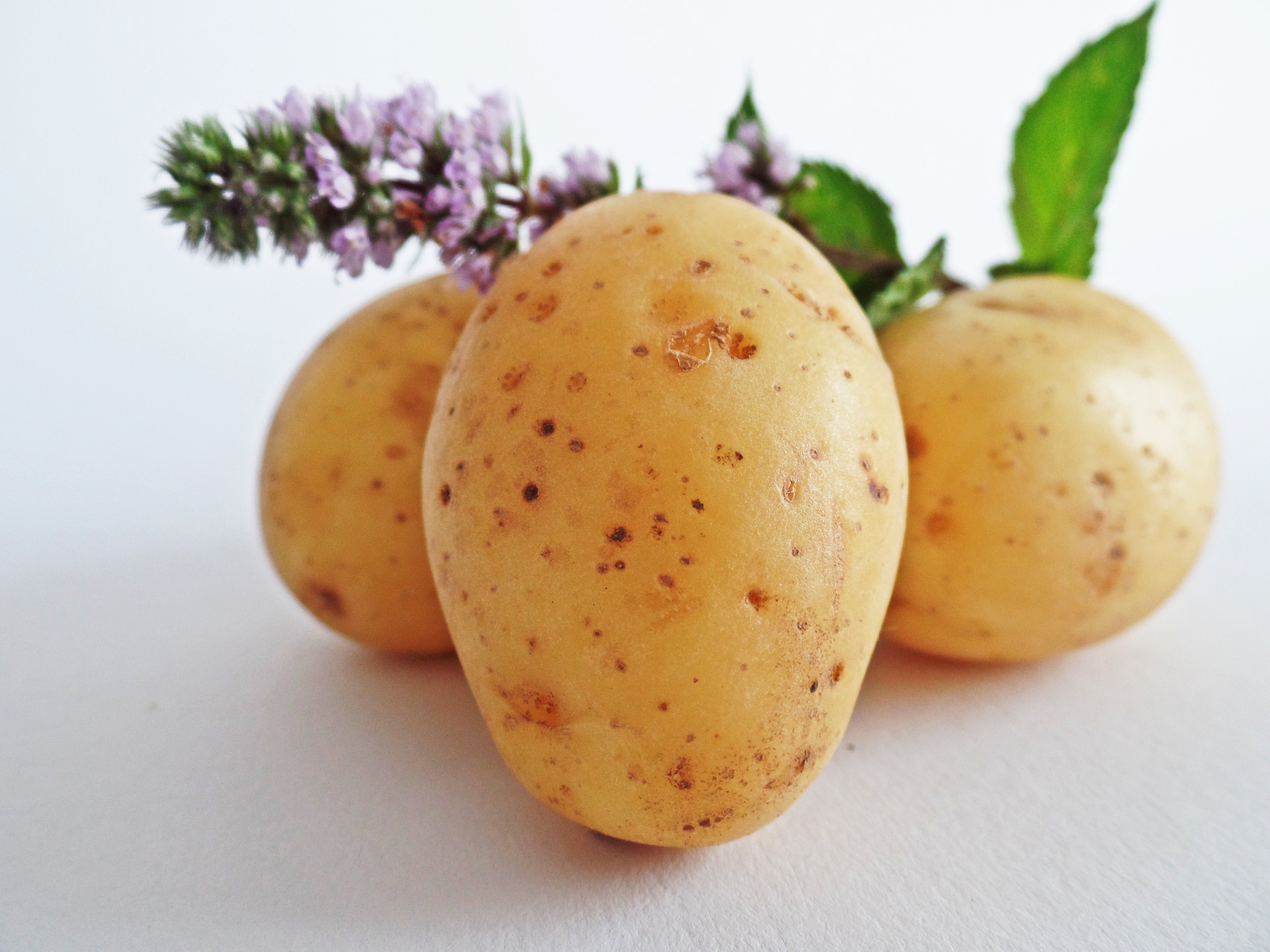 Seasonal in September: The Humble Potato